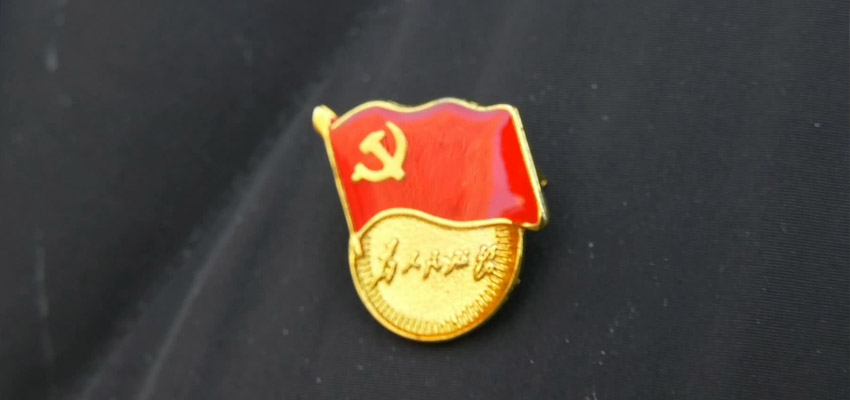 中共上海市突出贡献专家协会党工组