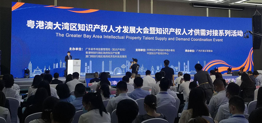 工作任务：知识产权人才