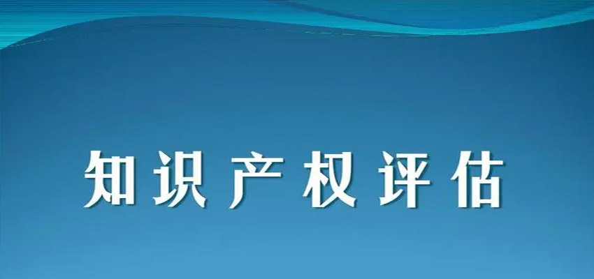 工作任务：知识产权评估